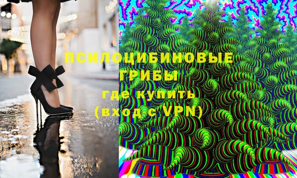 гидра Алексеевка