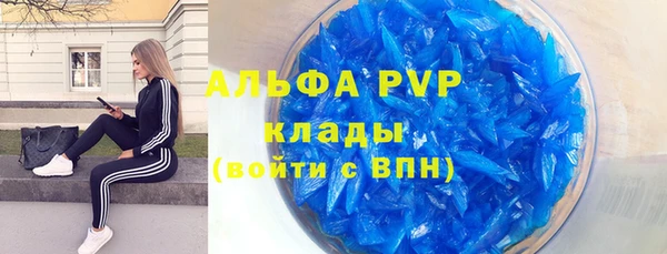 гидра Алексеевка